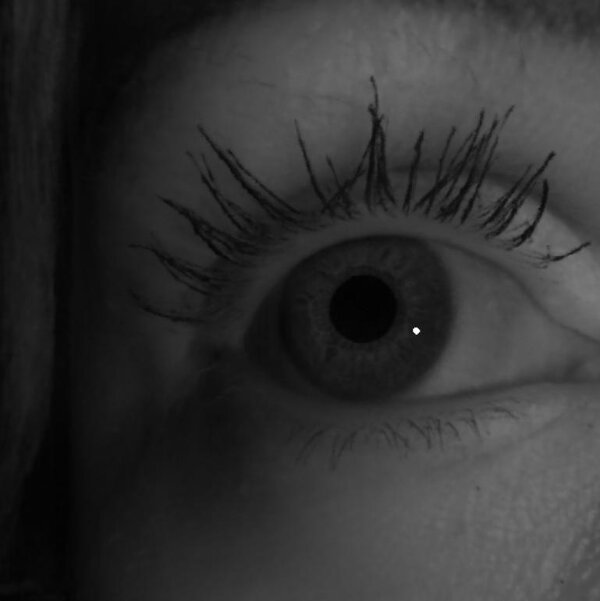 Eye of subject 1 rendered under a novel light position.