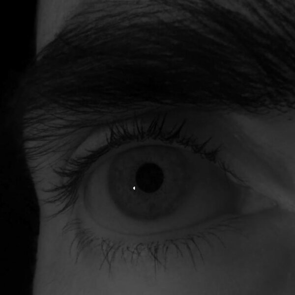 Eye of subject 2 rendered under a novel light position.