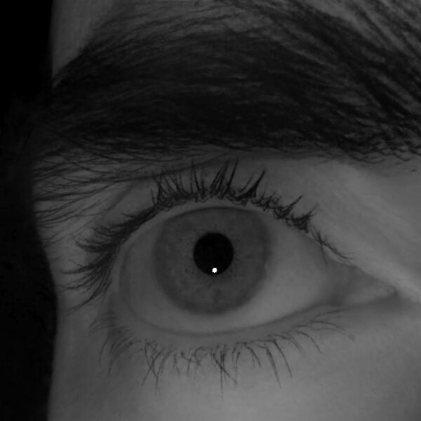 Eye of subject 2 rendered under a novel light position.
