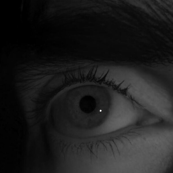 Eye of subject 2 rendered under a novel light position.