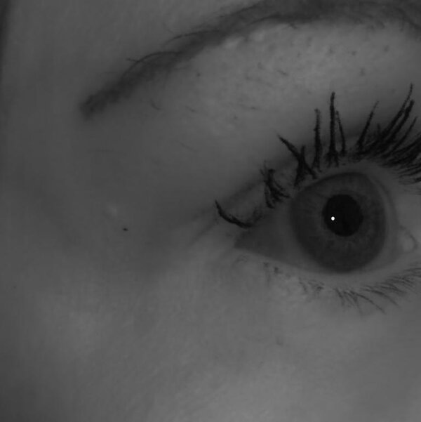 Eye of subject 1 rendered from a novel viewpoint.