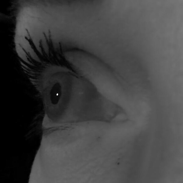 Eye of subject 1 rendered from a novel viewpoint.
