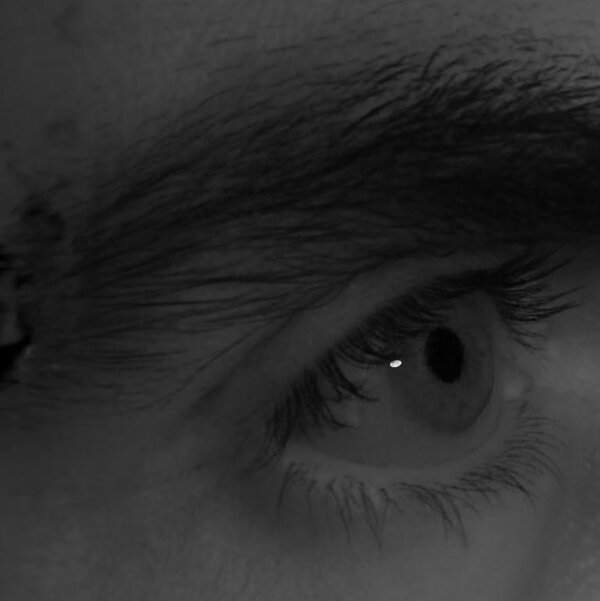 Eye of subject 2 rendered from a novel viewpoint.