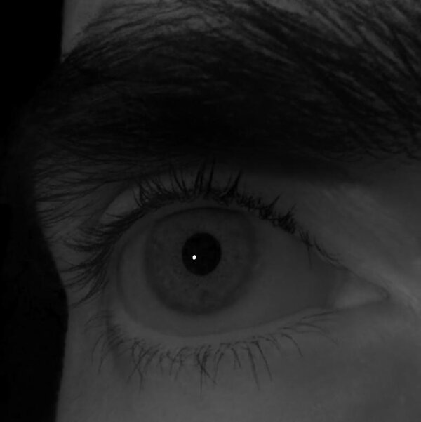 Eye of subject 2 rendered from a novel viewpoint.