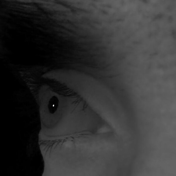 Eye of subject 2 rendered from a novel viewpoint.