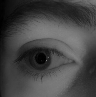 Eye of subject 3 rendered under multiple point lights.