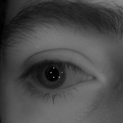 Eye of subject 3 rendered under multiple point lights.