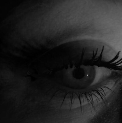 Eye of subject 1 rendered under multiple point lights.