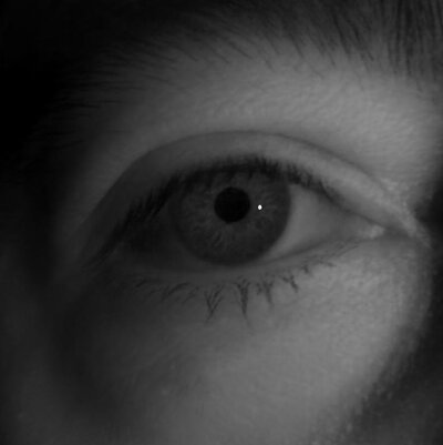 Eye of subject 2 rendered under multiple point lights.