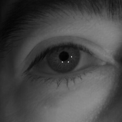 Eye of subject 2 rendered under multiple point lights.