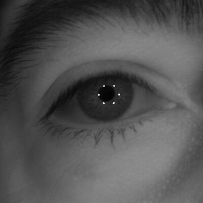 Eye of subject 2 rendered under multiple point lights.