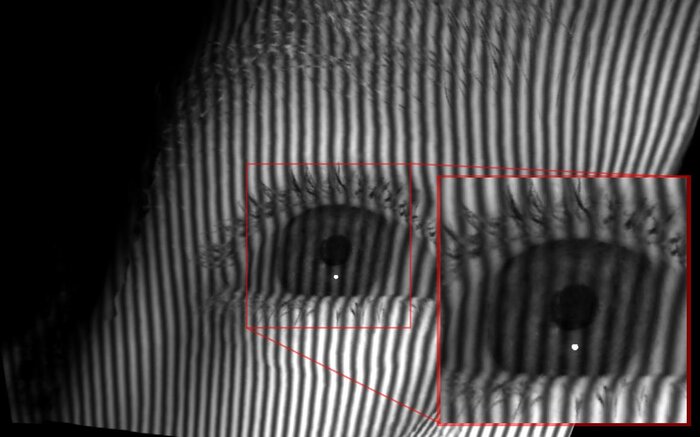 Structured light fringe pattern from the model with camera and light ray refraction (CRR + LRR).