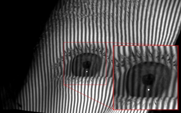 Structured light fringe pattern from the model with camera ray refraction (CRR).