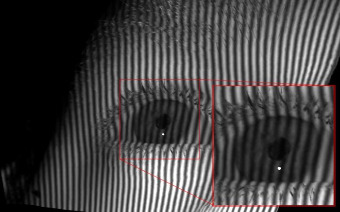Structured light fringe pattern from the model without refraction (NR).