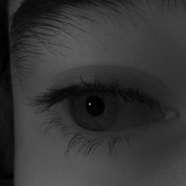 Eye rendered under novel lighting.