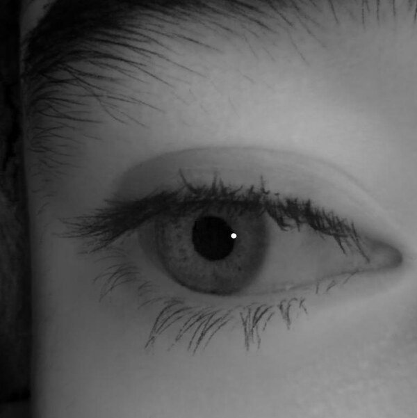 Eye rendered under novel lighting.