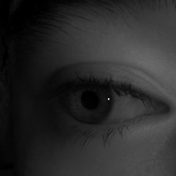 Eye rendered under novel lighting.