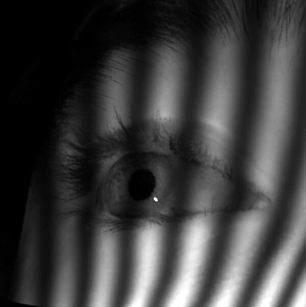 Eye rendered with simulated structured light.