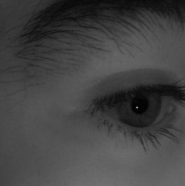 Eye rendered from a novel viewpoint.
