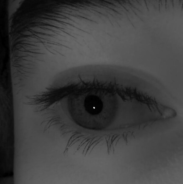 Eye rendered from a novel viewpoint.