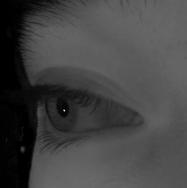 Eye rendered from a novel viewpoint.